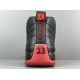 OG BATCH Air Jordan 12 Retro Flu Game 2025 CT8013-002