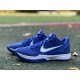S2 BATCH Nike Kobe 6 Protro Dodgers CW2190-400